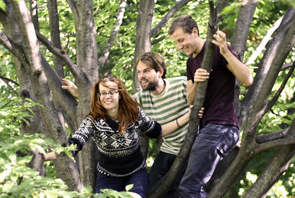 Permaculture Commons Team