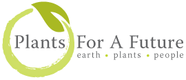 Logo of the Plants for a future PFAF Website